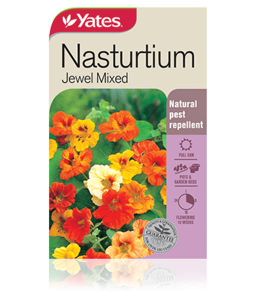 Nasturtium Jewel Mixed - Yates Australia