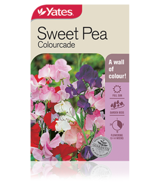 Sweet Pea Colourcade - Yates Australia